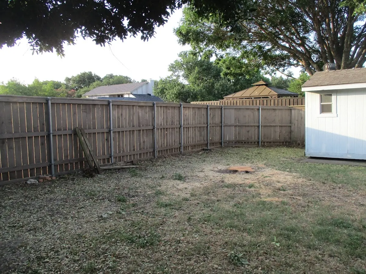 Cleared yard after professional tree removal in Fort Gaines