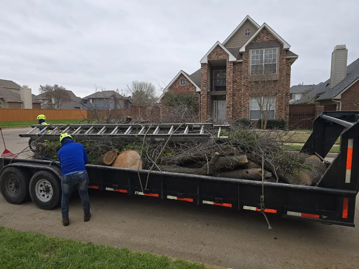 Expert Tree Removal with proper safety equipment in Fort Gaines